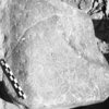 inscription of siglum Is.H 256