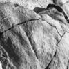 inscription of siglum Is.H 26