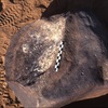 inscription of siglum Is.H 264