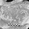inscription of siglum Is.H 274