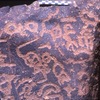 inscription of siglum Is.H 282