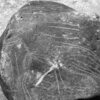 inscription of siglum Is.H 287