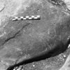 inscription of siglum Is.H 295