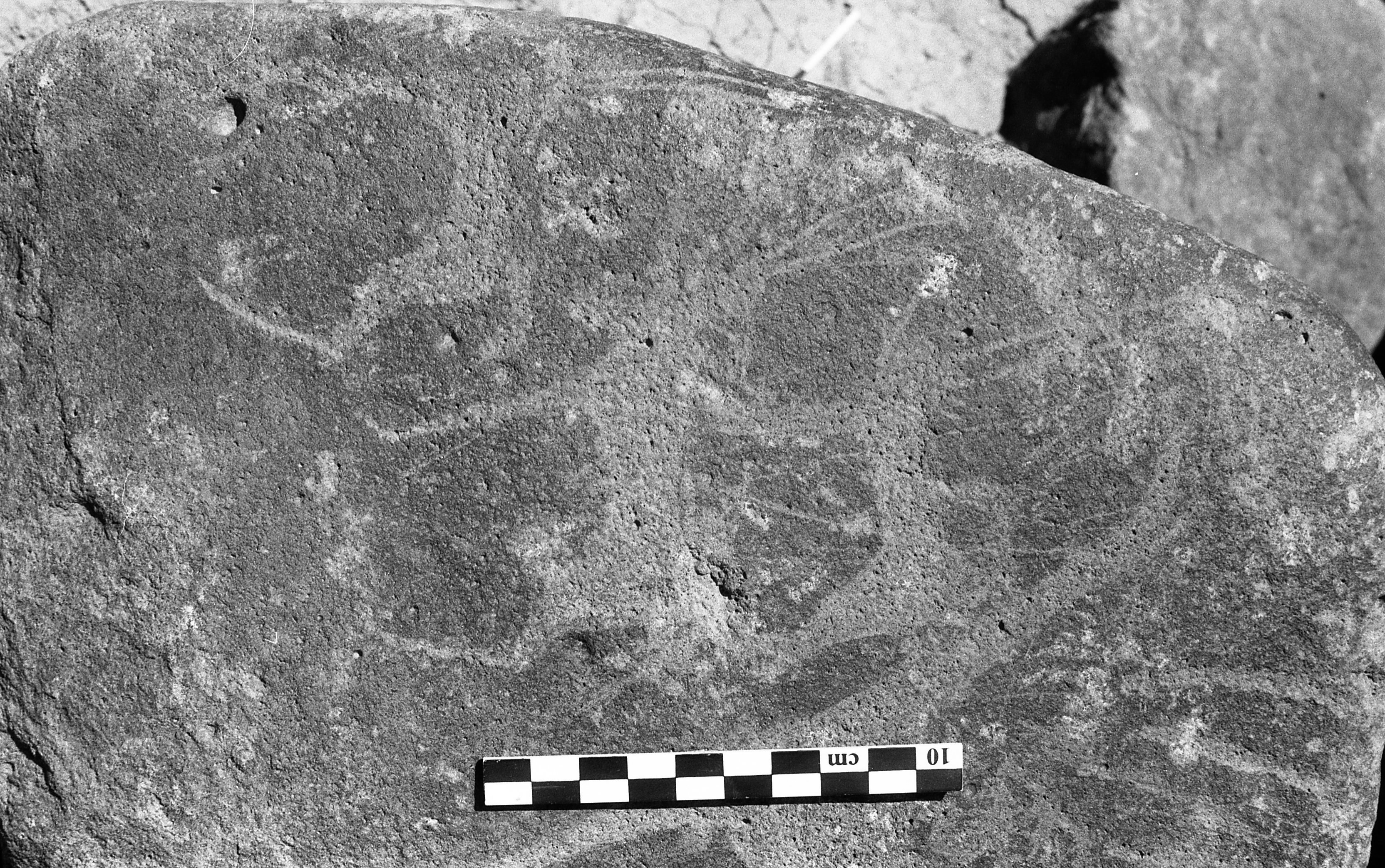 inscription of siglum Is.H 309