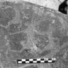 inscription of siglum Is.H 309