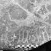 inscription of siglum Is.H 309