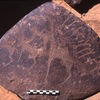 inscription of siglum Is.H 309