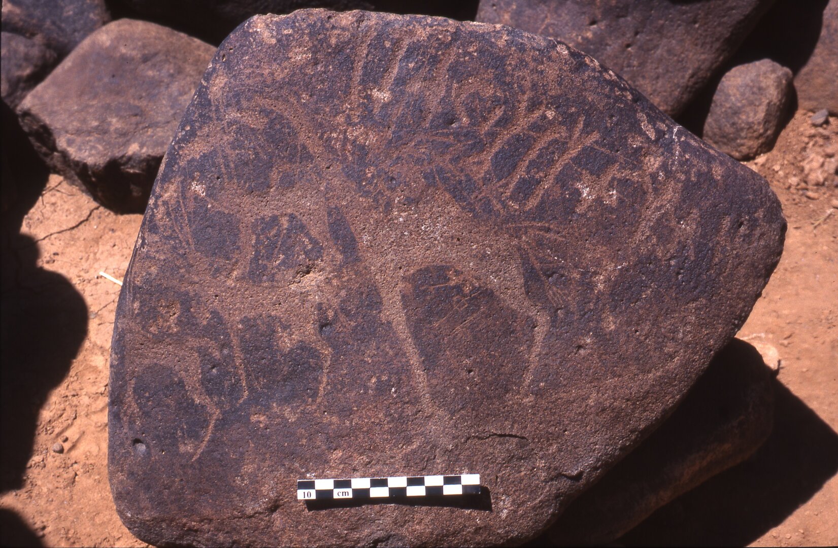inscription of siglum Is.H 310