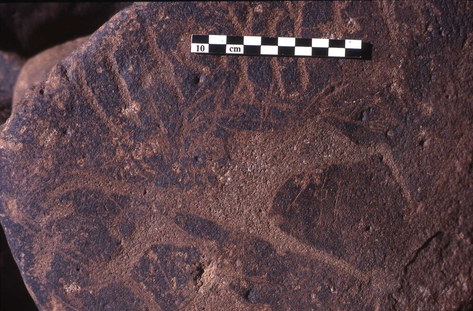 inscription of siglum Is.H 310
