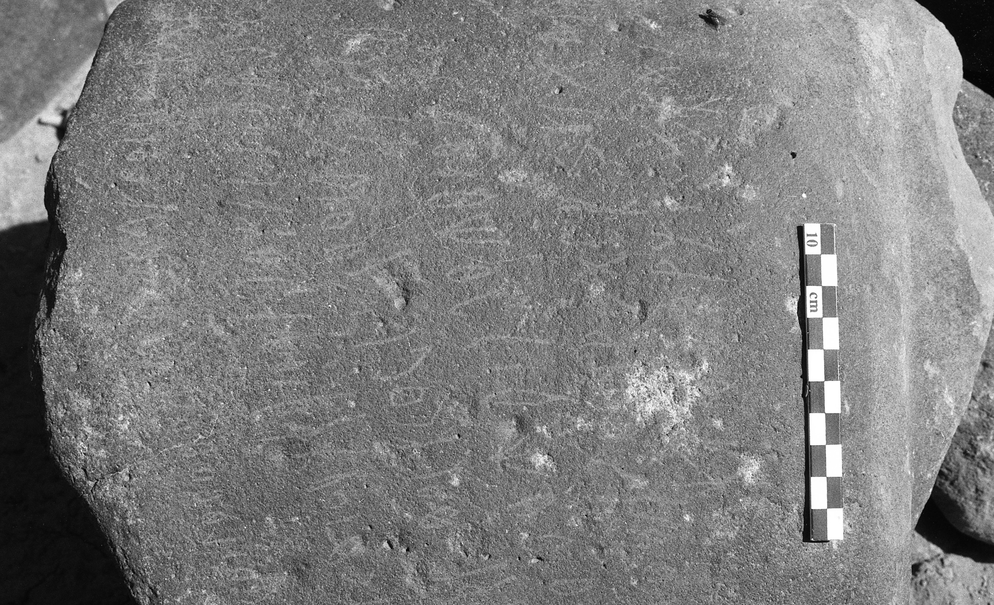 inscription of siglum Is.H 312