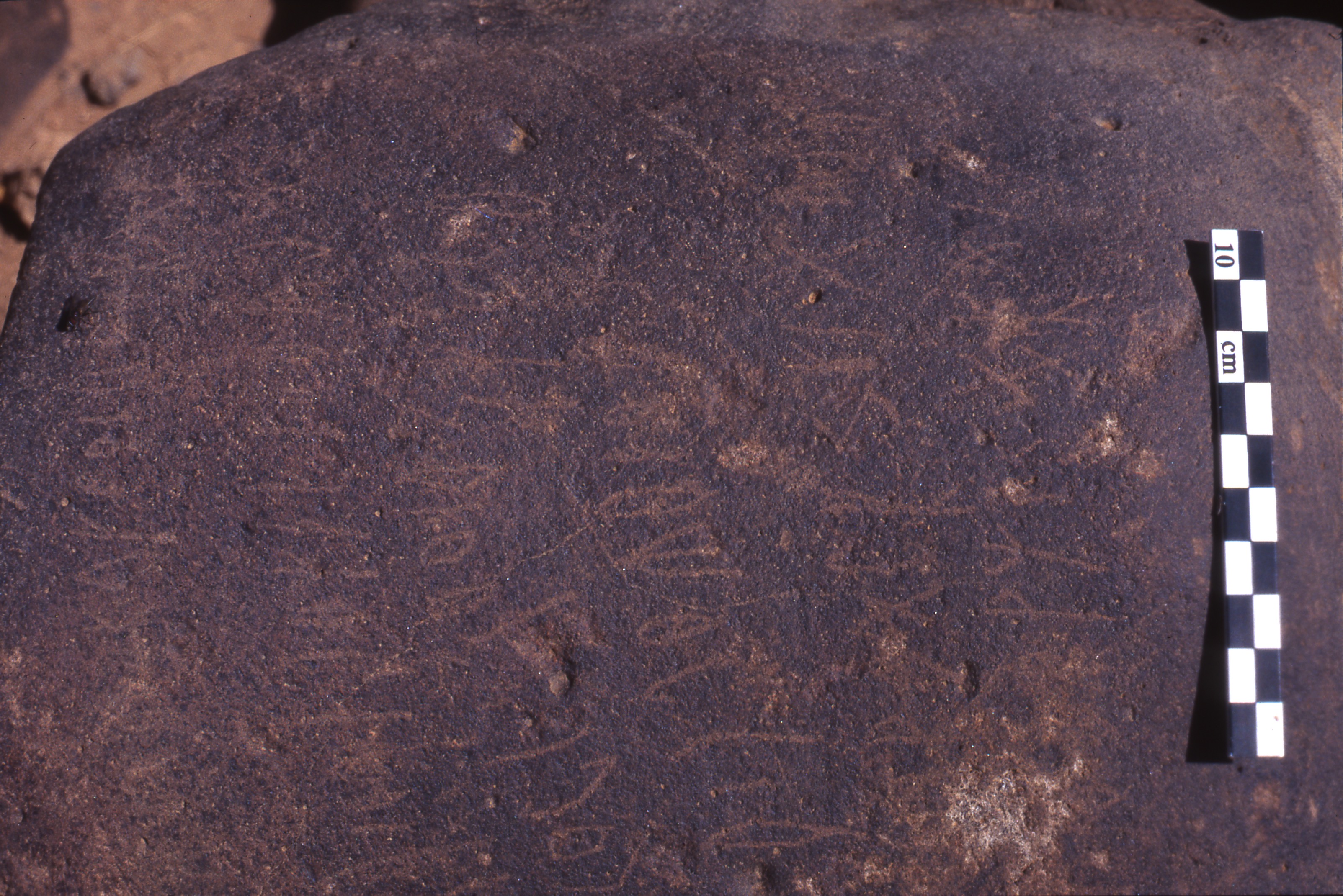 inscription of siglum Is.H 312