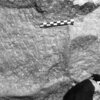 inscription of siglum Is.H 333