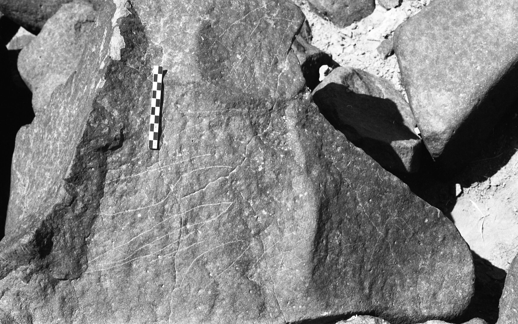inscription of siglum Is.H 334