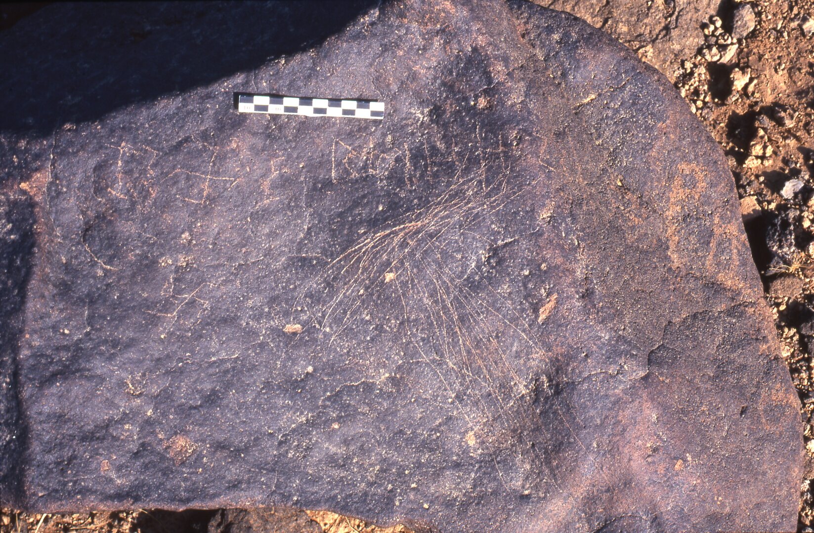 inscription of siglum Is.H 339