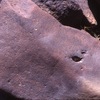 inscription of siglum Is.H 343