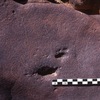 inscription of siglum Is.H 343