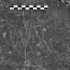 inscription of siglum Is.H 344
