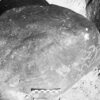 inscription of siglum Is.H 350