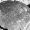 inscription of siglum Is.H 350
