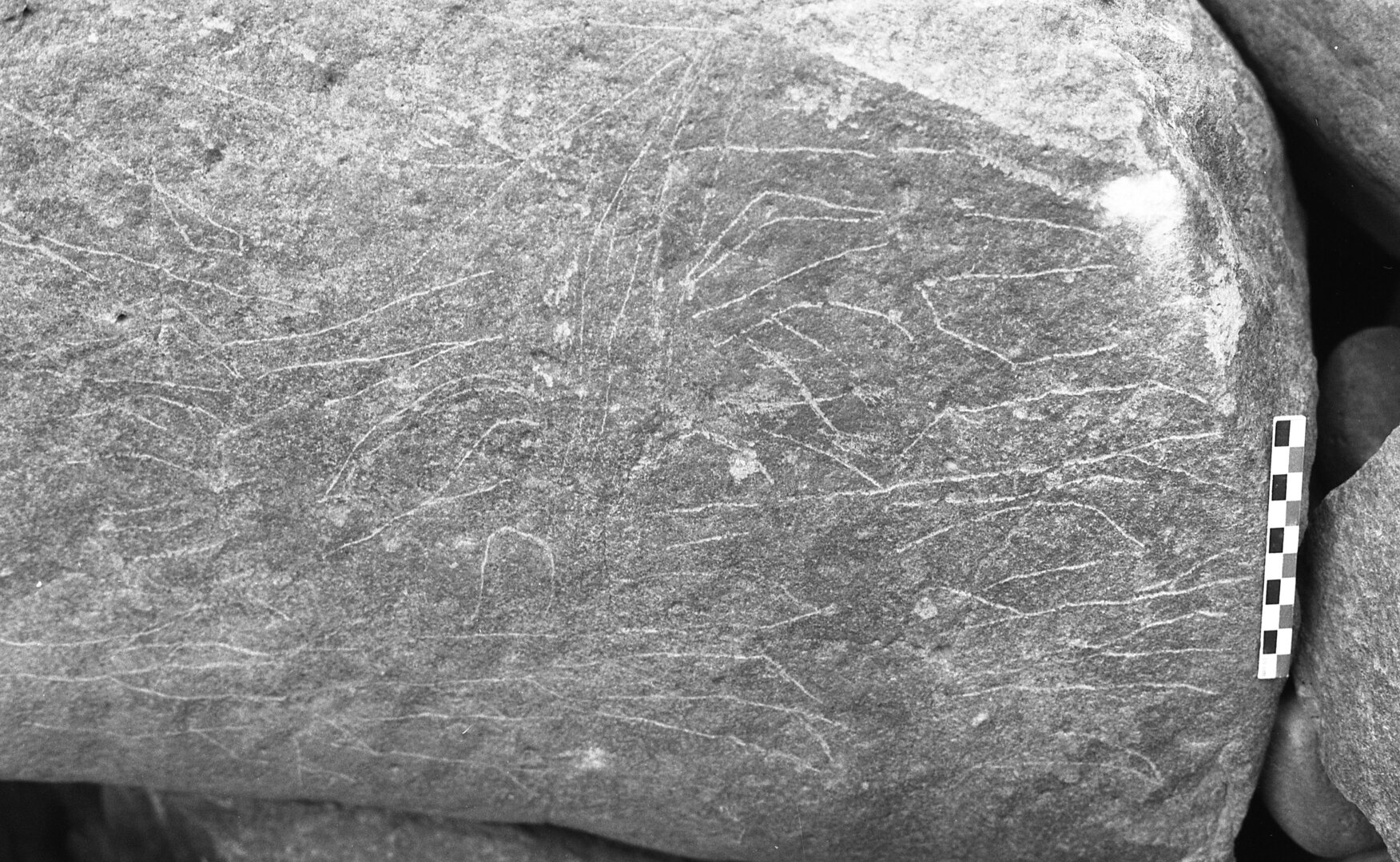 inscription of siglum Is.H 431