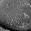 inscription of siglum Is.H 459