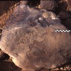 inscription of siglum Is.H 46