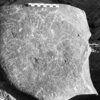inscription of siglum Is.H 462