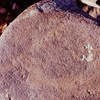 inscription of siglum Is.H 505