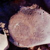 inscription of siglum Is.H 505