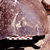 inscription of siglum Is.H 508
