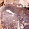 inscription of siglum Is.H 509