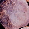 inscription of siglum Is.H 512