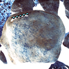 inscription of siglum Is.H 512