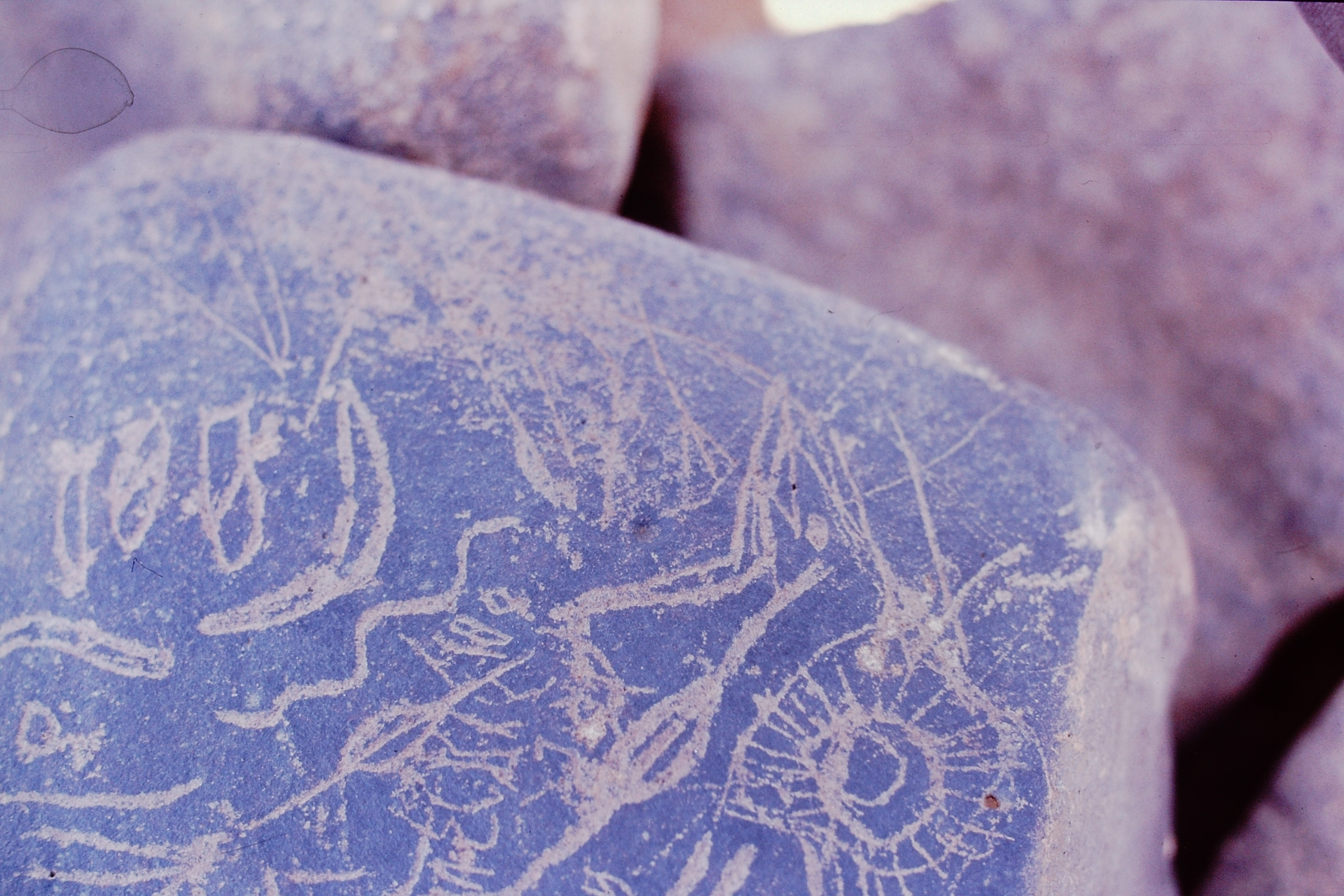 inscription of siglum Is.H 517