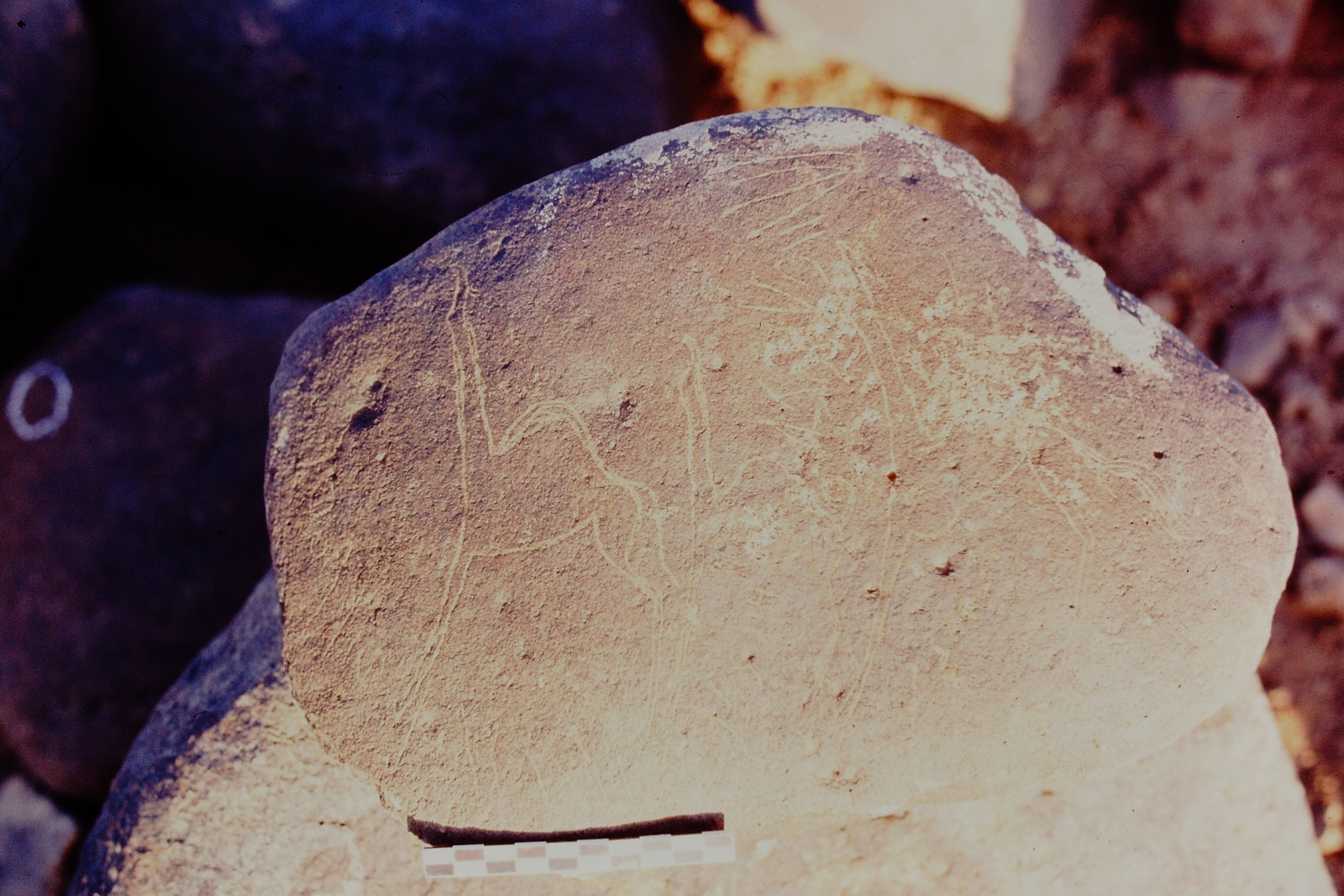 inscription of siglum Is.H 519
