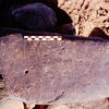 inscription of siglum Is.H 520