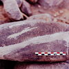 inscription of siglum Is.H 524