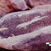 inscription of siglum Is.H 524