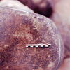 inscription of siglum Is.H 524