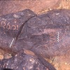 inscription of siglum Is.H 53