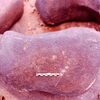 inscription of siglum Is.H 537