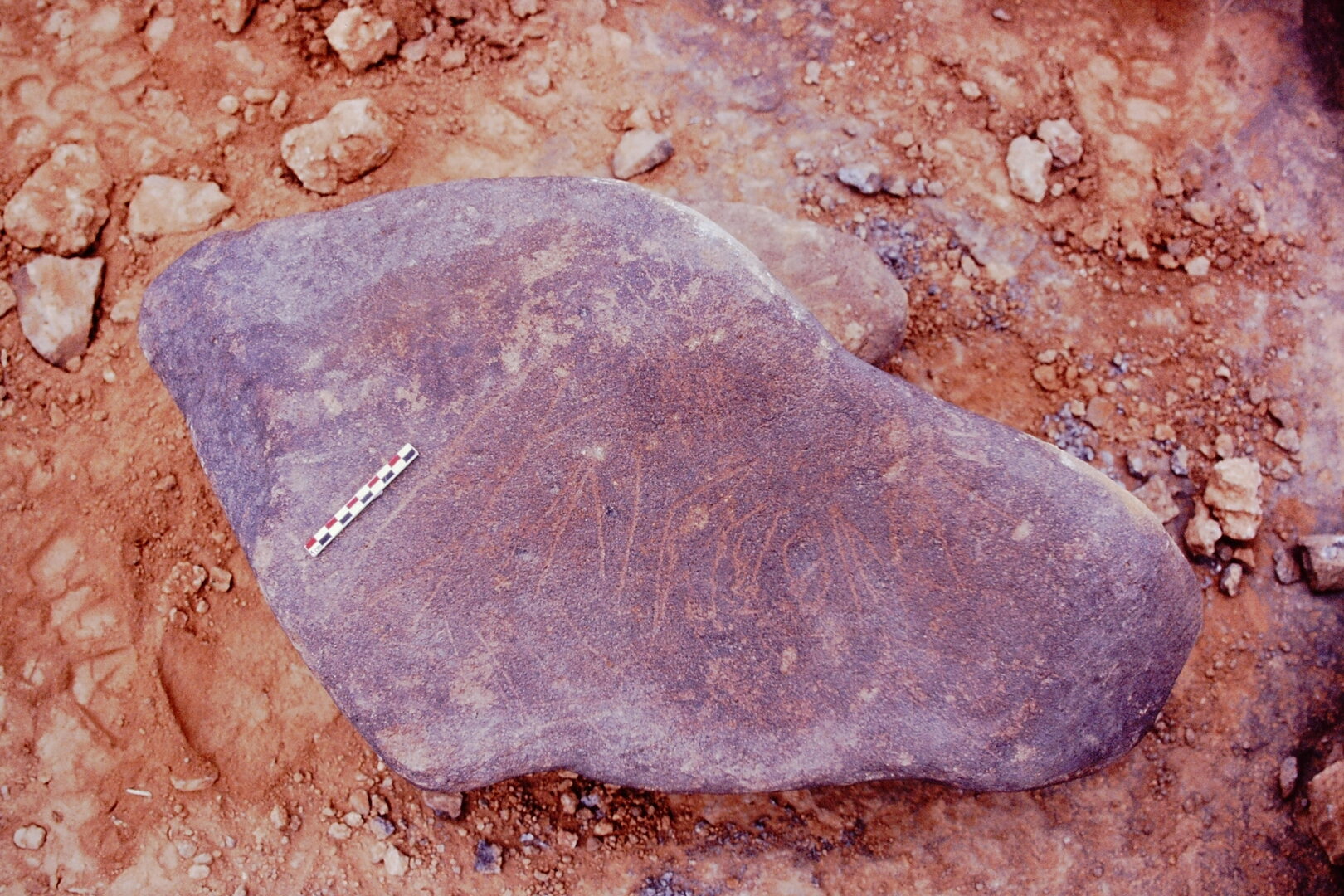inscription of siglum Is.H 538 See LP 372