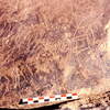 inscription of siglum Is.H 551