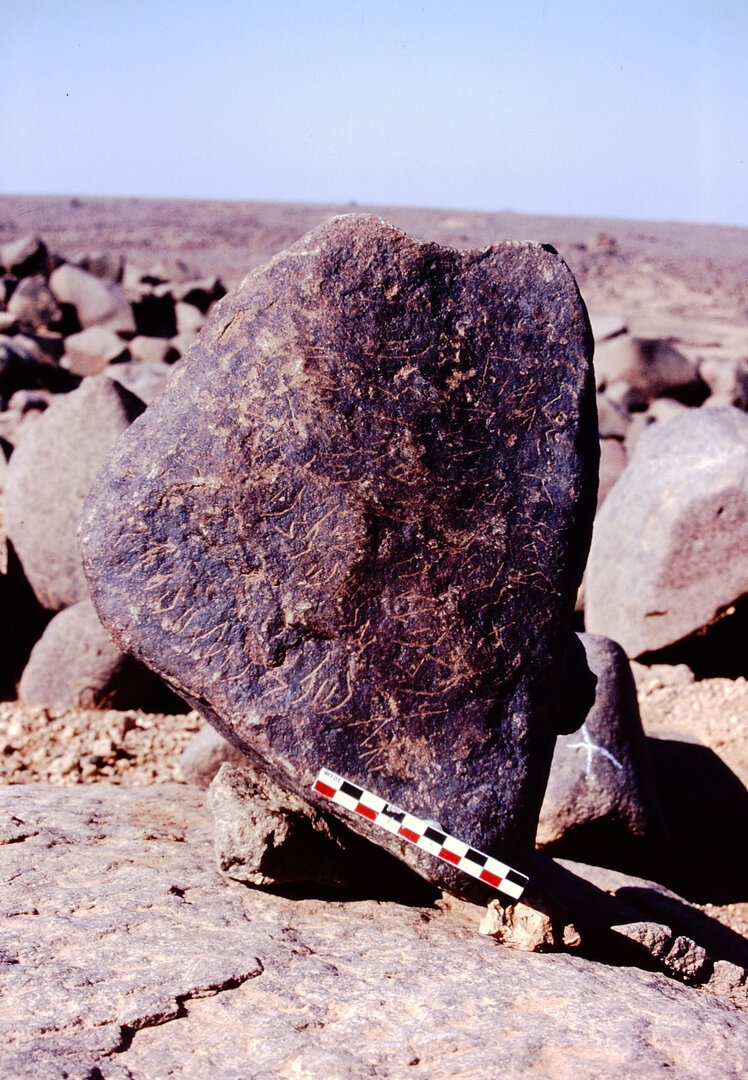 inscription of siglum Is.H 555