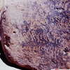 inscription of siglum Is.H 561
