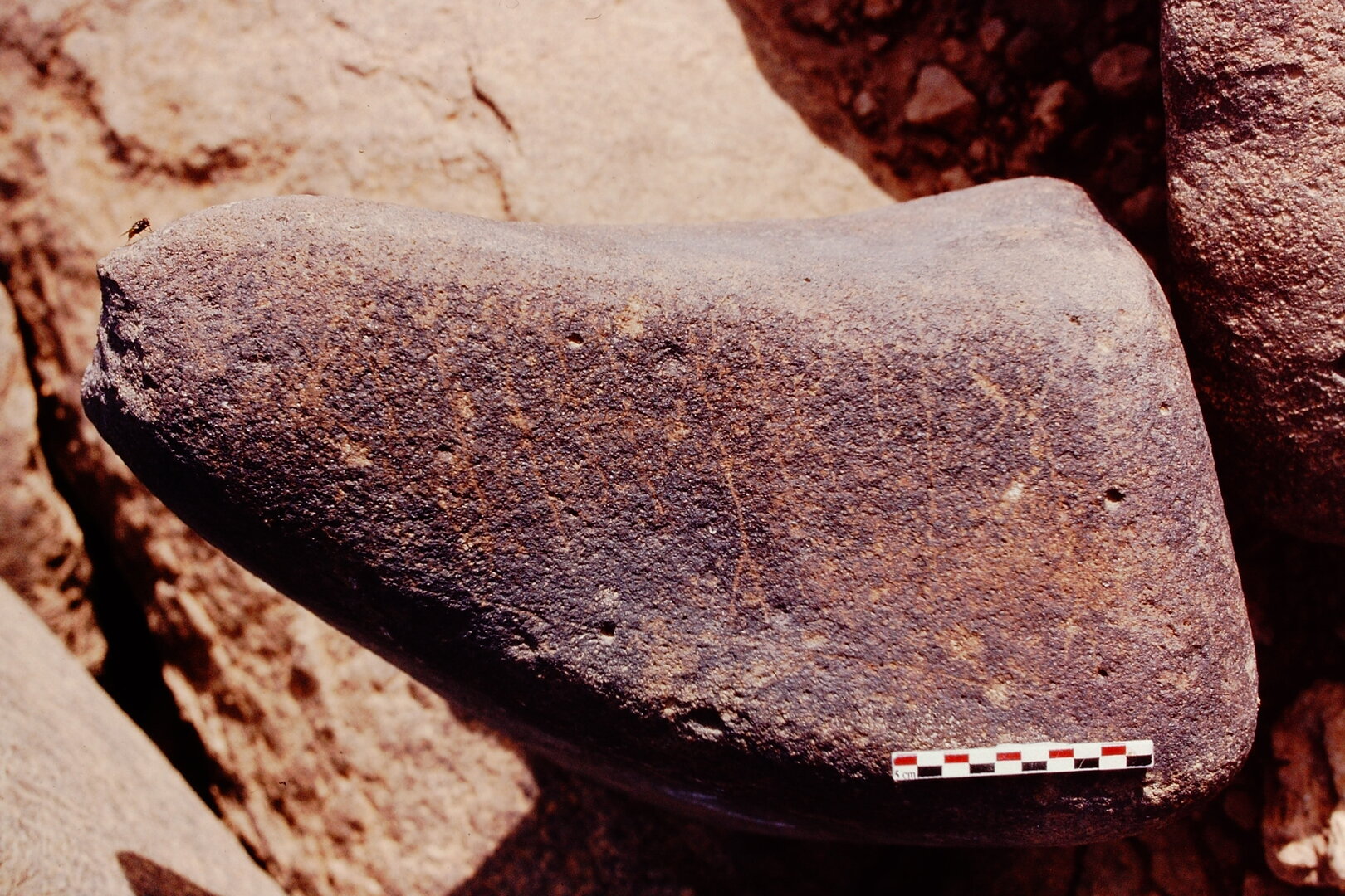 inscription of siglum Is.H 572