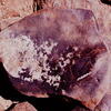inscription of siglum Is.H 580