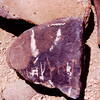 inscription of siglum Is.H 582
