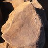 inscription of siglum Is.H 585