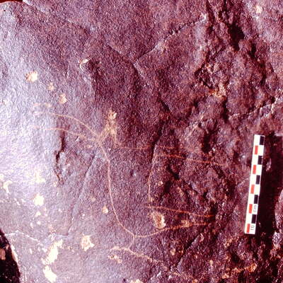 inscription of siglum Is.H 588